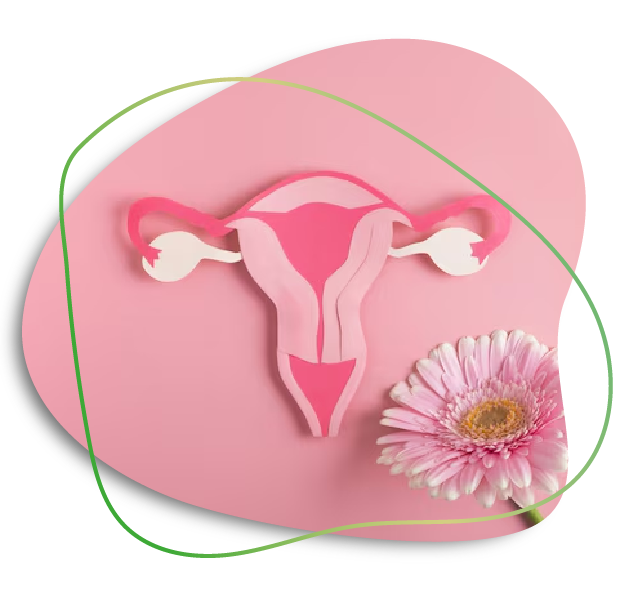 Labiaplasty by Lipofilling